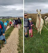 230728kindersommer-alpakawanderung07a