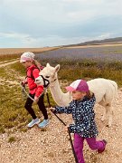 230728kindersommer-alpakawanderung21