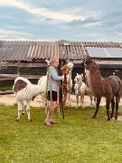 230728kindersommer-alpakawanderung22