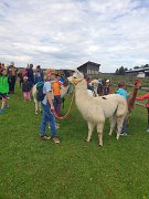 230728kindersommer-alpakawanderung28