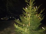 241214b_waldweihnacht_16