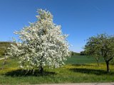 250501_Radtour__106