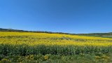 250501_Radtour__111