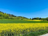 04wanderung03