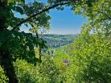 05Hohengundelfingen08
