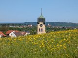 250511_Raichbergrunde__008