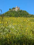 250511_Raichbergrunde__013