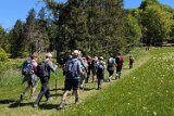 250511_Raichbergrunde__050