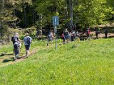 250511_Raichbergrunde__053