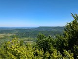 250511_Raichbergrunde__063
