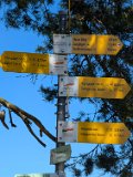 250511_Raichbergrunde__069