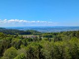250511_Raichbergrunde__090