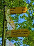 250511_Raichbergrunde__113