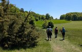 250511_Raichbergrunde__126