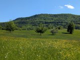 250511_Raichbergrunde__162