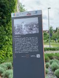 250525Uhingen_HV_Hauptverein (14)