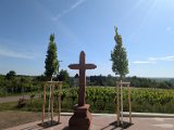 250531_Pfalz_Rad02_015