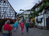 250531_Pfalz_Rad02_099