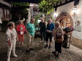 250531_Pfalz_Rad02_106