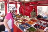 250530_Pfalz_Rad01_028