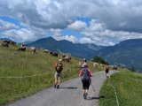 250628_Allgaeuwanderung066