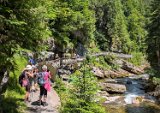 250628_Allgaeuwanderung129