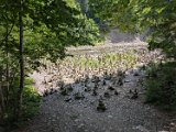 250628_Allgaeuwanderung152