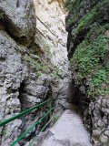 250628_Allgaeuwanderung183