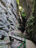 250628_Allgaeuwanderung185