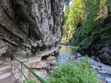 250628_Allgaeuwanderung197