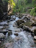 250628_Allgaeuwanderung198