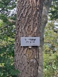 250720_Kirchenkoepfletour09