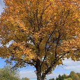 251012muensingen__03