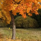 251012muensingen__05