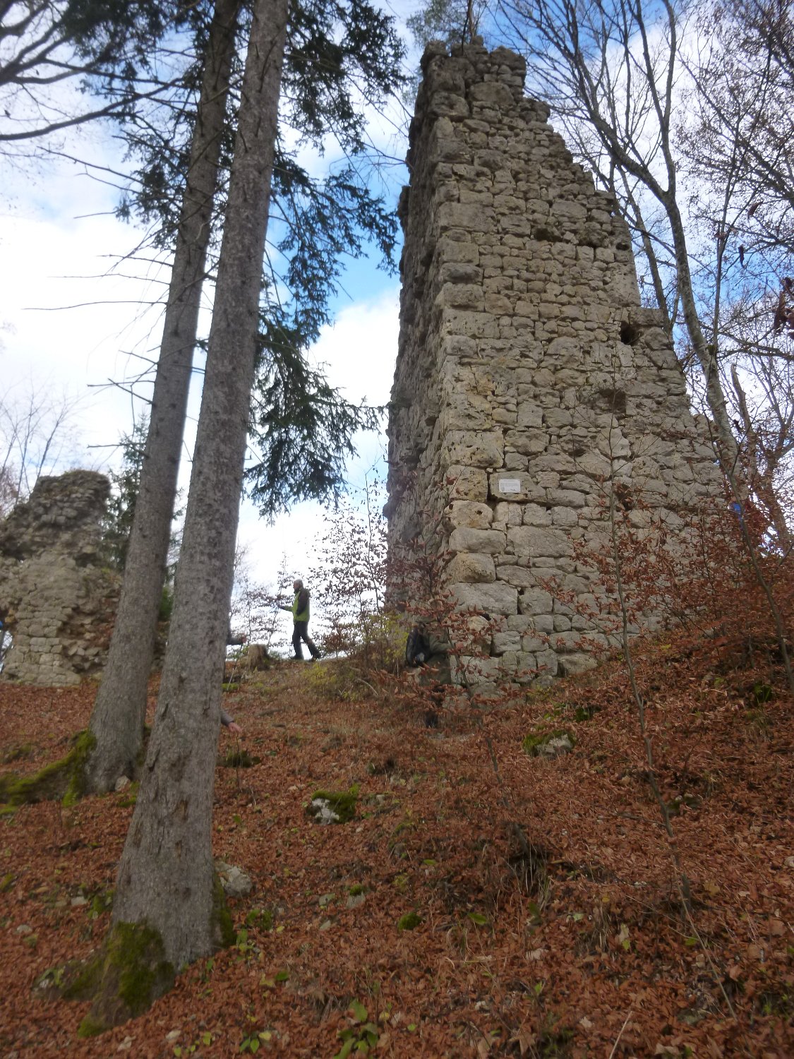 251108_burgruinen_gauselfingen14a.JPG