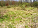 gutshof1.jpg (70811 Byte)