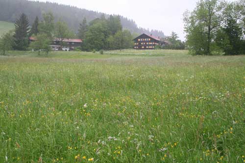 eistobel20