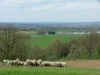 DSCF5162.jpg (31237 Byte)