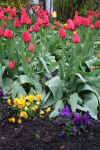 2006-04-29-21.jpg (67138 Byte)