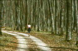Kalenderbild-04.jpg (84882 Byte)