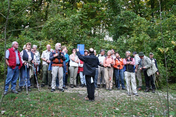 moessingen10