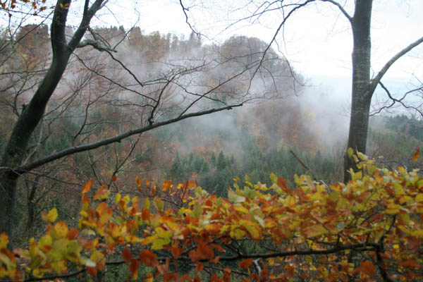 eyach09