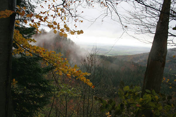 eyach10