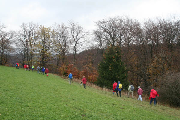 eyach14
