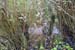 eyach19