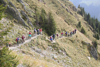 Blumenweg