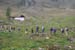 pillersee_01a_06