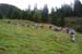 pillersee_02a_04