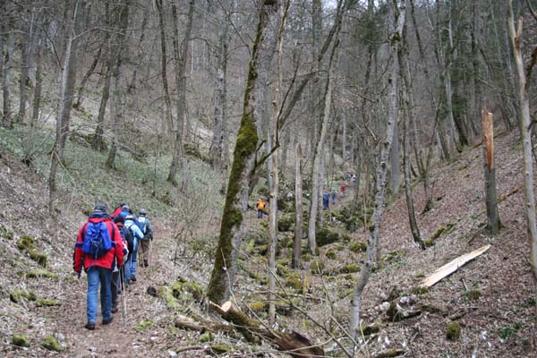 070318hintelestal07
