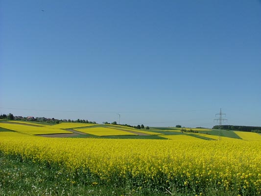 070501radtour05